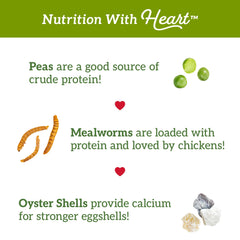 Love My Girls sans corn: formule corn-free adaptée à l’alimentation des poules.