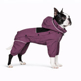 Lovelonglong imperméable pour chien avec capuche amovible, protection pluie pratique.