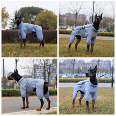 Manteau Lovelonglong chien fermeture éclair: enfilage rapide et ajustement sûr