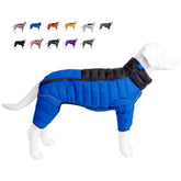 Lovelonglong veste chien bleu couvrant les 4 pattes et haute visibilité.
