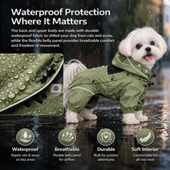 Lovelonglong veste chien plein-corps imperméable, protection complète lors des balades pluvieuses.