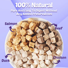 Loves4Pets Réhydratation facile: 5–10 minutes pour nourrir les tortues.