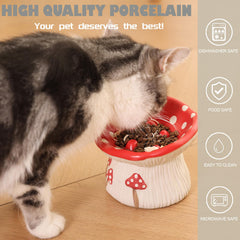 LOVINFURBABY bol, base antidérapante pour stabilité