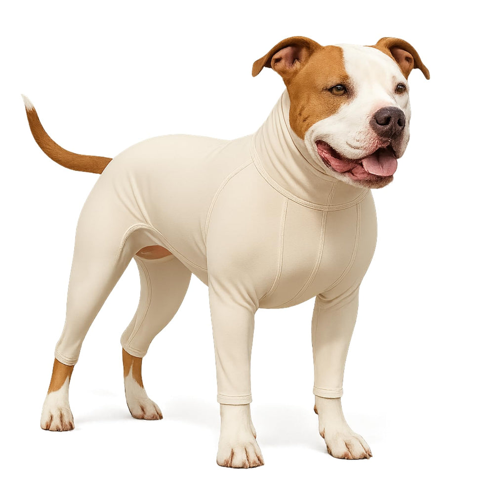 LovinPet chemise-protection-uv pour chien, protège du soleil lors des sorties.