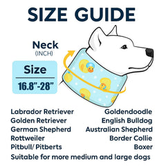 LovinPet Collier ajustable - sangle douce pour ajustement personnalisé et confort durable