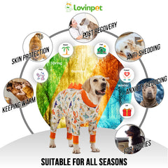 LovinPet design dinosaure col pétale, style unique et adorable.