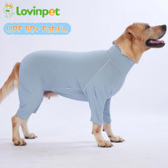 Chien en mouvement portant LovinPet, tissu extensible 4-voies pour plus de liberté.
