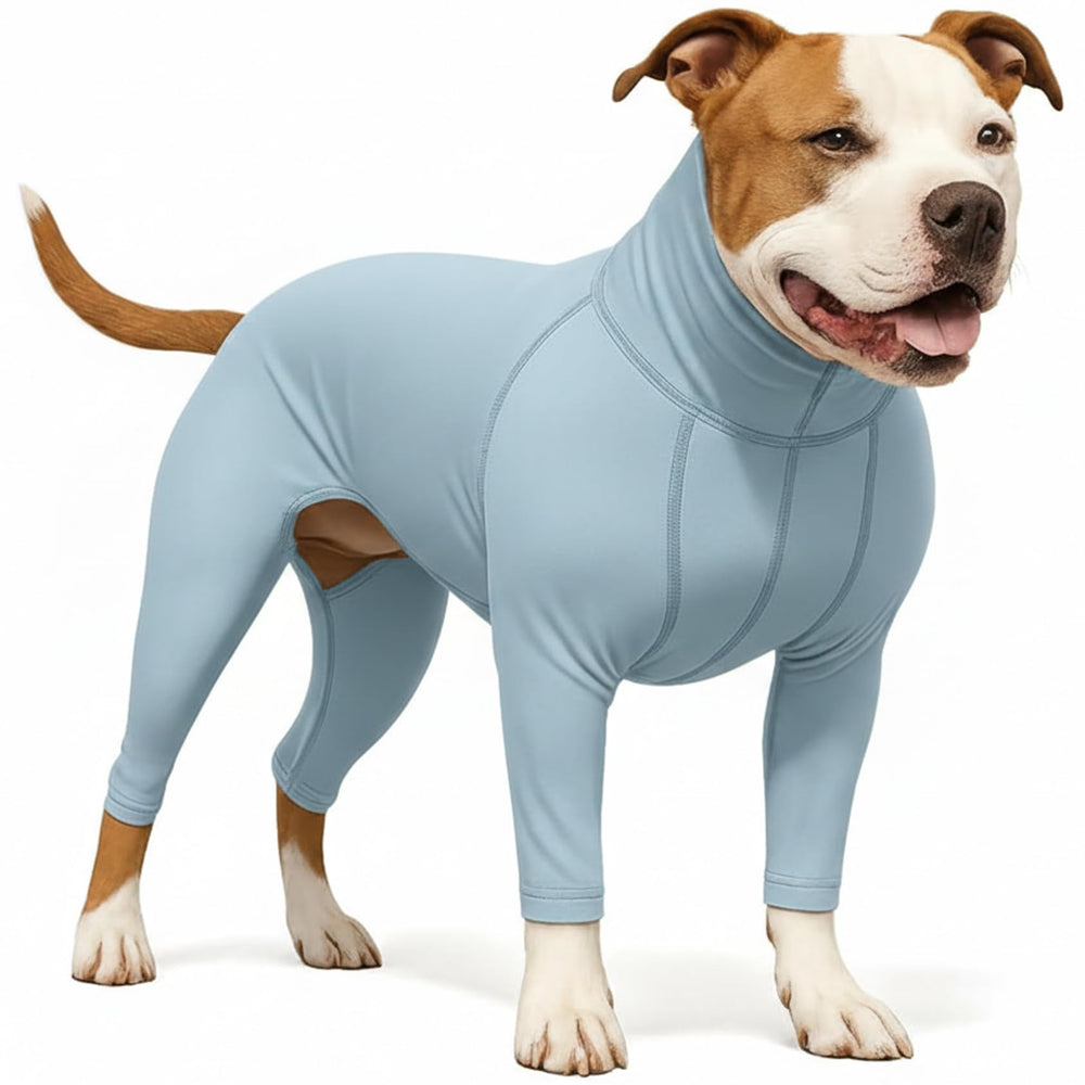 LovinPet T-shirt protection UV50+ sur chien moyen, protection UV lors des balades.