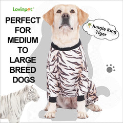 LovinPet pyjama chien grand confort tout-saison, idéal pour les moments câlins.