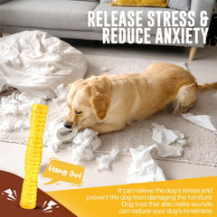 LOYEE design coloré jaune pour attirer l’attention du chien.
