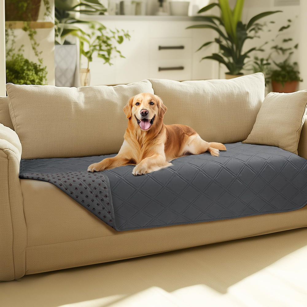 Luciphia couverture canape chien imperméable protège le sofa.