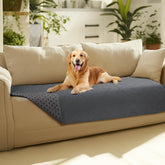 Luciphia couverture canape chien imperméable protège le sofa.