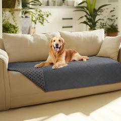 Luciphia couverture canape chien imperméable protège le sofa.