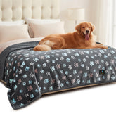 Couverture Luciphia imperméable pour chien sur canapé, douceur et protection.