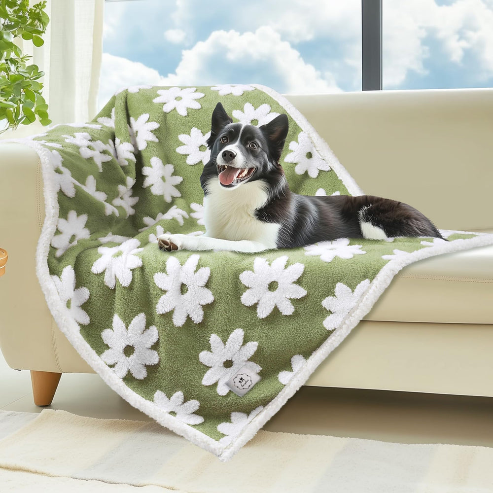 Luciphia couverture imperméable pour chien moyen – protège canapé et sols