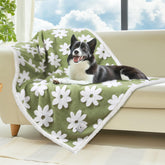 Luciphia couverture imperméable pour chien moyen – protège canapé et sols