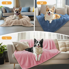 Luciphia design empreinte patte, charme et douceur intégrés.