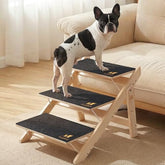 Luciphia escaliers en bois pour chiens petits, stabilité accrue et accès facile au canapé.