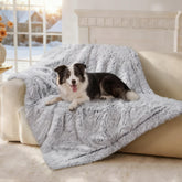 Couverture imperméable Luciphia pour chien protégeant fauteuils et lit contre les taches.