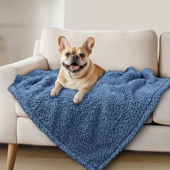 Luciphia couverture premium en peluche douce, idéale pour chien petit à moyen.