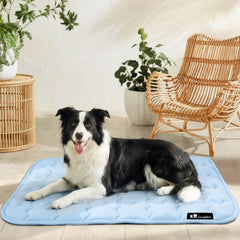 Luciphia tapis-refroidissant antiderapant 20x30, surface fraîche et stable.