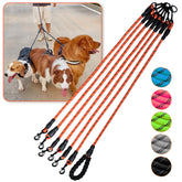 Laisse Luck Dawn 6 chiens – rotation 360 pour une promenade sans enchevêtrement.
