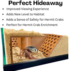 Lucky Critter Plastique sans danger: matériau sûr pour le terrarium.