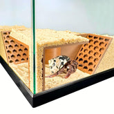 Lucky Critter Tunnel souterrain: favorise l'exploration en sécurité dans le terrarium.