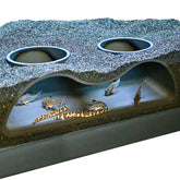 Lucky Critter tunnel souterrain a deux ouvertures, vue nette des poissons.