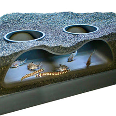 Lucky Critter tunnel souterrain a deux ouvertures, vue nette des poissons.