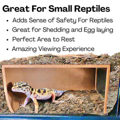 Lucky Critter grotte souterraine emplacement en coin pour optimiser l’espace
