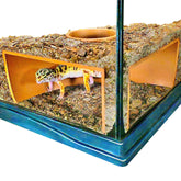 Lucky Critter grotte souterraine vue d’ensemble pour observation dans le terrarium