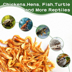 LuckyQworms nourriture naturelle pour poissons et tortues avec protéines élevées