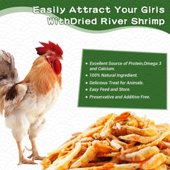 LuckyQworms sachet 5 livres crevettes lyophilisées, pratique et prête à servir