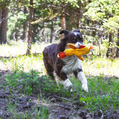 LUCOLOVE canard jaune avec sifflet et tube pour stimulation sensorielle.