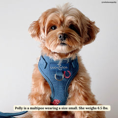 Harnais Lucy & Co arrière clip et anneaux en D pour soutien