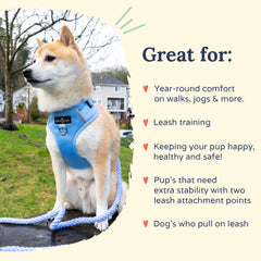 Lucy & Co Harnais Denim No-Pull, ajustement poitrine flexible, croissance du chien facilitée.