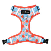 Harnais Lucy & Co XS sans tir vu de face, contrôle doux pendant les promenades.