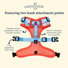 Harnais Lucy & Co XS rembourré et doux, confort optimal lors des sorties.