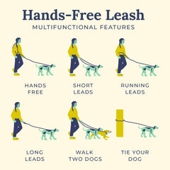 Lucy & Co. utilisation mains-libres pour balades quotidiennes.