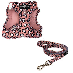 Lucy & Co. Wild Side : harnais étape facile pour chat, sans effort.
