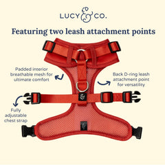 Harnais Lucy & Co. rouge, adapté aux grands chiens pour confort et ajustement.