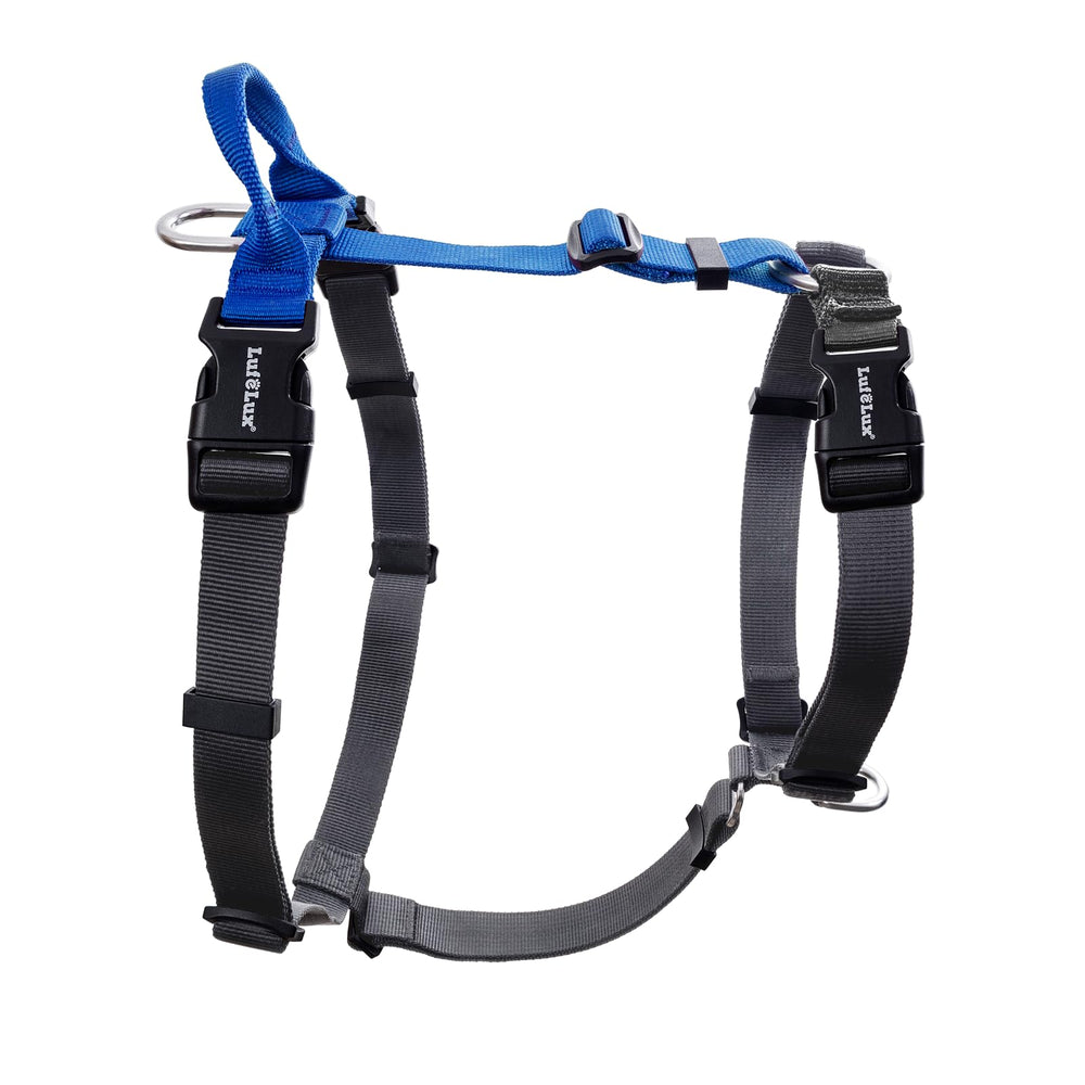 Harnais LufeLux non restrictif bleu pour chien, confort et liberté lors des promenades.