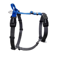 Harnais LufeLux non restrictif bleu pour chien, confort et liberté lors des promenades.
