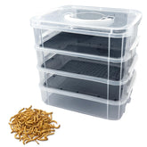 LUKHMELF kit d'élevage vers de farine quatre niveaux pour un élevage organisé