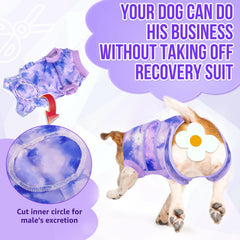 Lukovee combinasion-retablissement-chien ceinture-taille-ajustable: soutien objectif et confort.