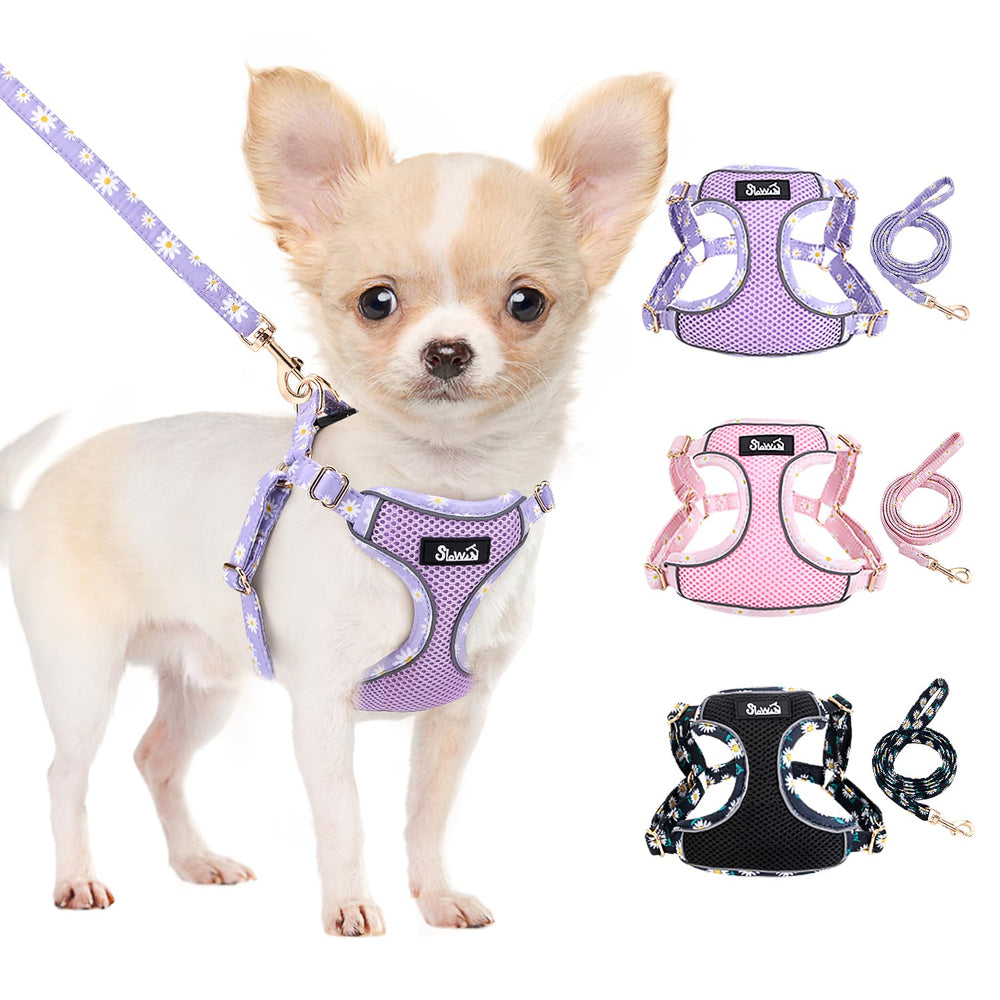 Harnais Lukovee pour petit chien XXS, léger et confortable pour balades quotidiennes.