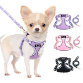 Harnais Lukovee pour petit chien XXS, léger et confortable pour balades quotidiennes.