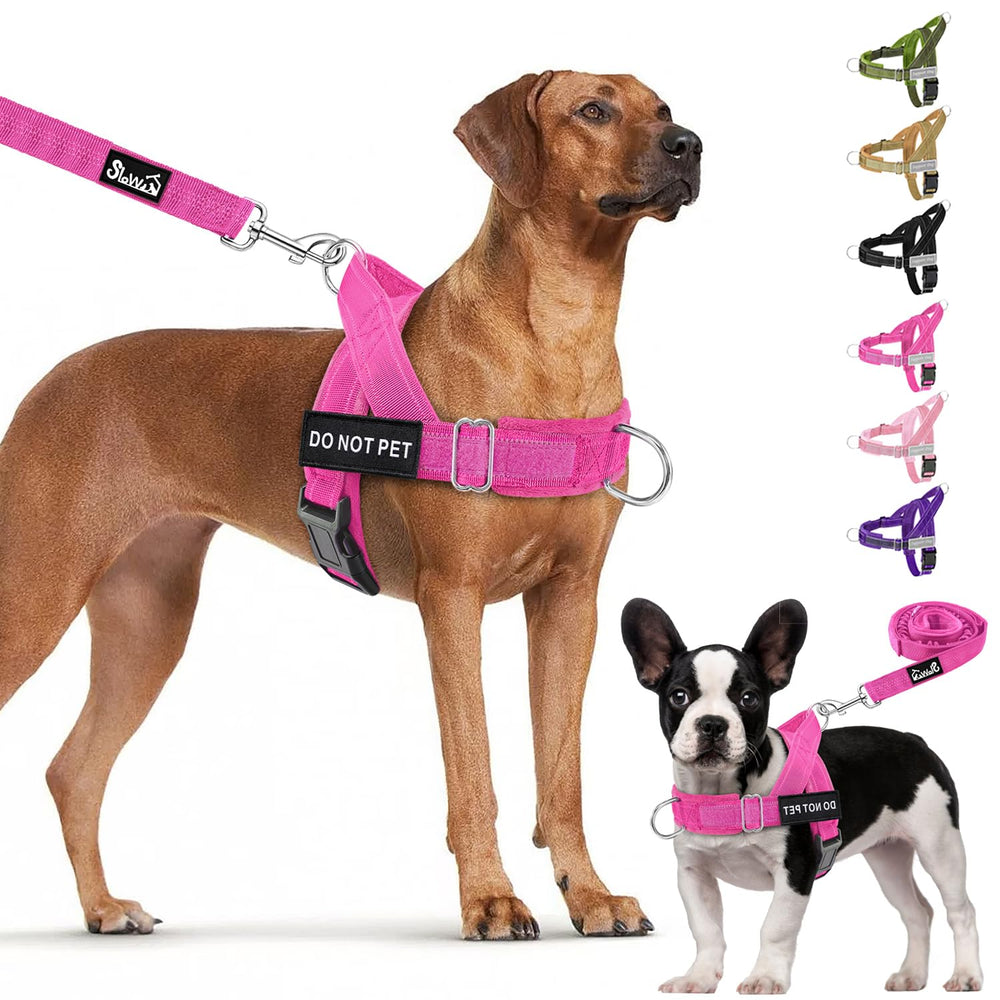 Harnais Lukovee sans traction pour chien moyen, guidage en douceur pour les promenades