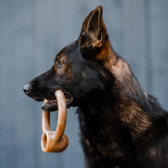 Lumabone Jouet Mâcher Intense — conçu pour mâcheurs forts et sessions prolongées.